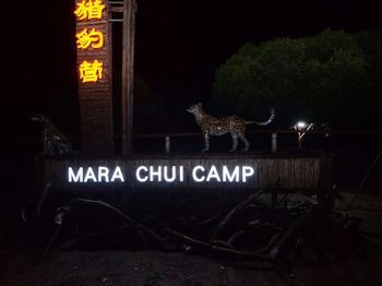 Mara Chui Camp Otel Ololaimutiek Dış mekan fotoğraf